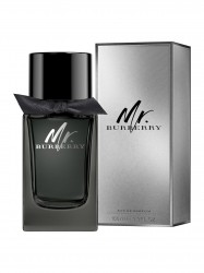 Mr. Burberry Eau de Parfum 100ml