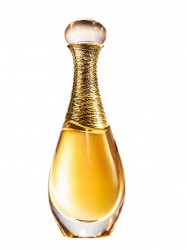 Dior J'Adore L' Or Essence de Parfum Spray 40 ml